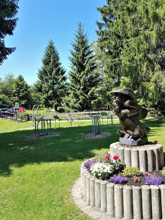 Grossdorf Ferienwohnung Waldsuite Im Harz Γκόσλαρ Εξωτερικό φωτογραφία