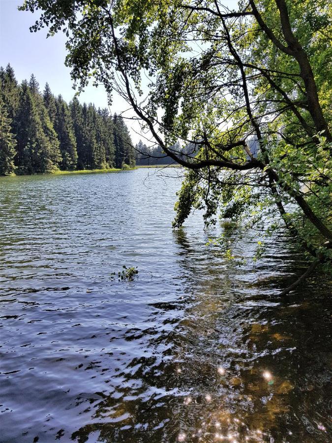 Grossdorf Ferienwohnung Waldsuite Im Harz Γκόσλαρ Εξωτερικό φωτογραφία