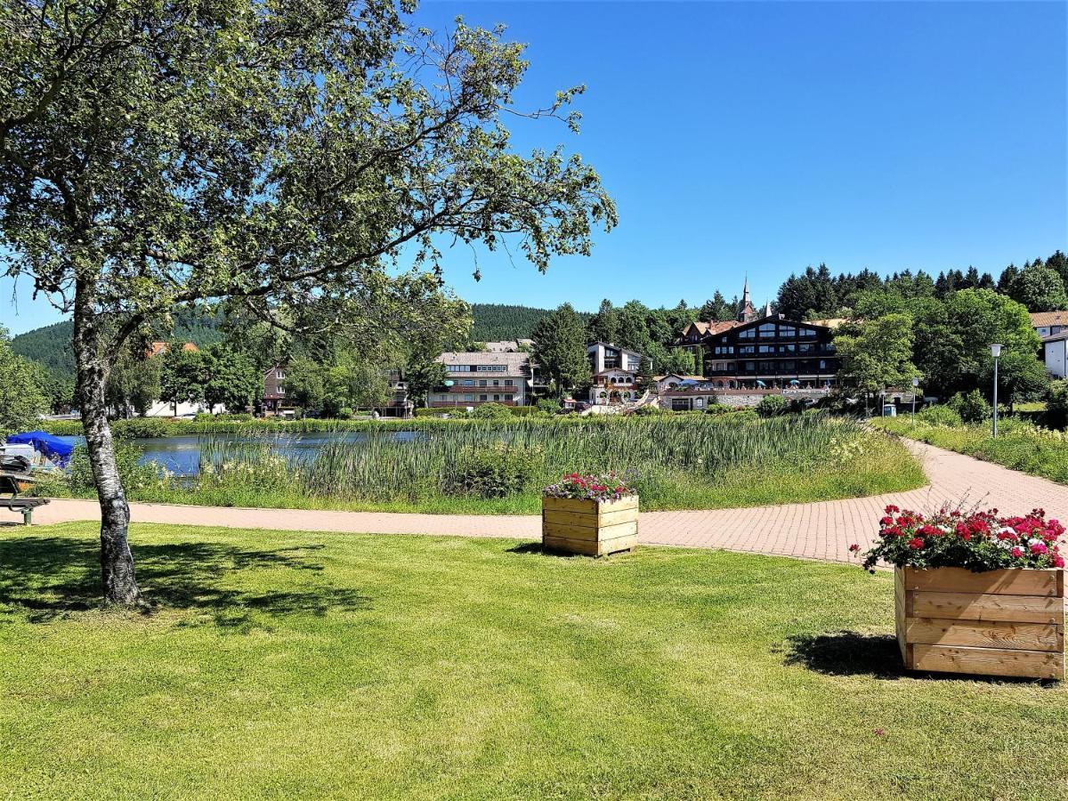 Grossdorf Ferienwohnung Waldsuite Im Harz Γκόσλαρ Εξωτερικό φωτογραφία