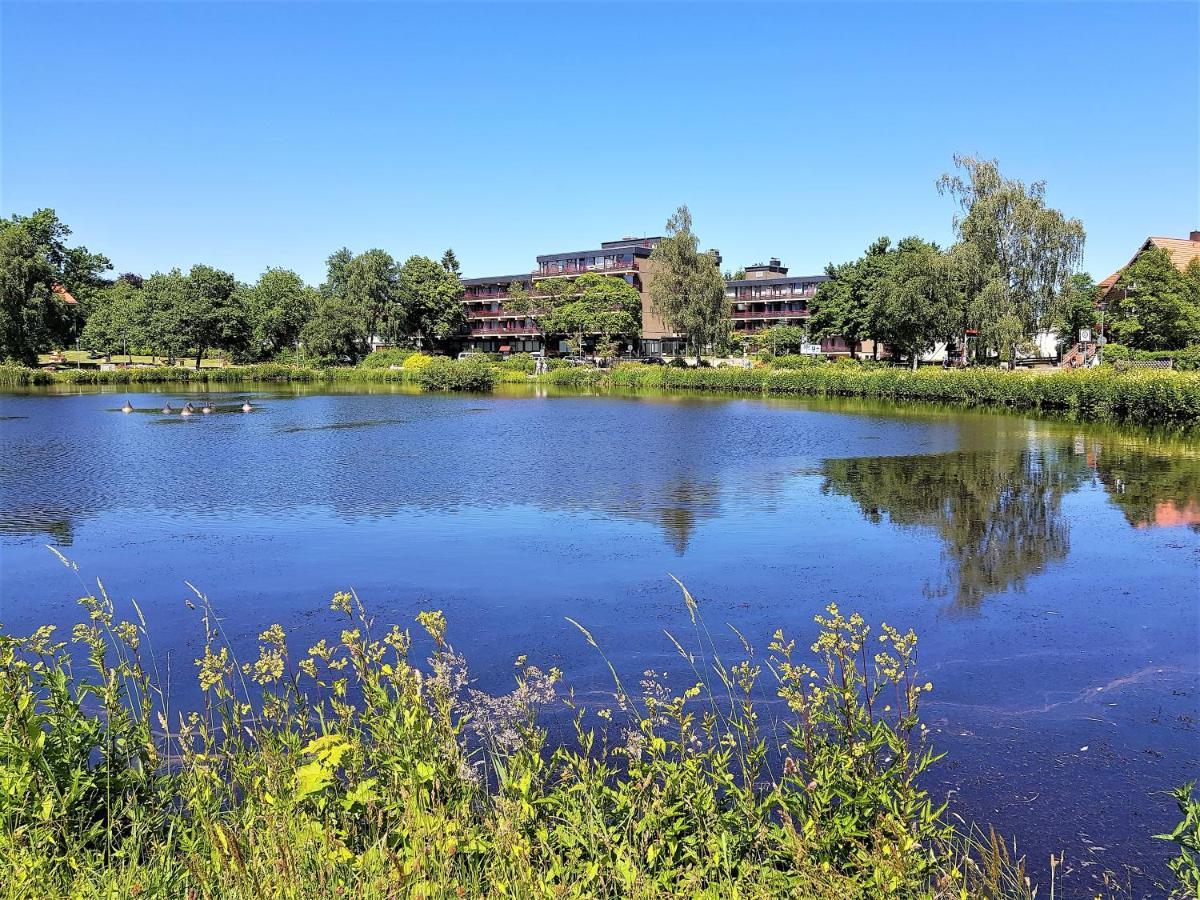 Grossdorf Ferienwohnung Waldsuite Im Harz Γκόσλαρ Εξωτερικό φωτογραφία