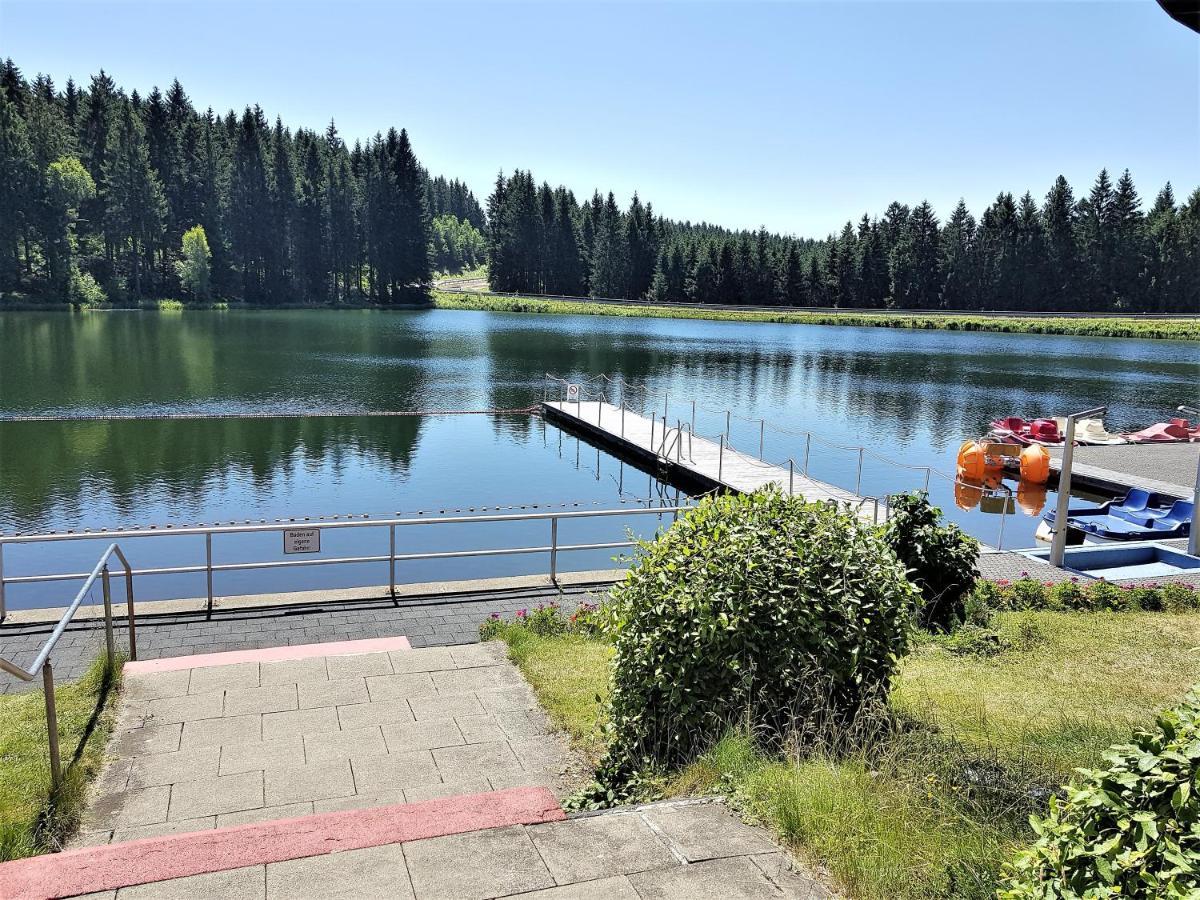 Grossdorf Ferienwohnung Waldsuite Im Harz Γκόσλαρ Εξωτερικό φωτογραφία